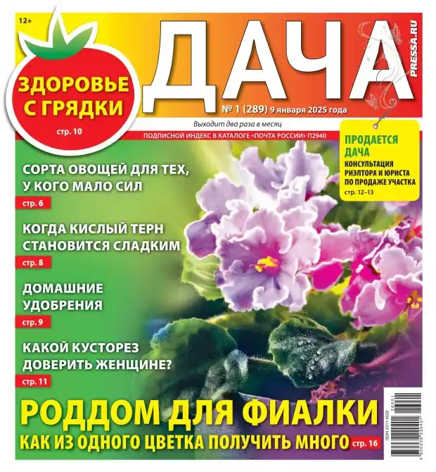 Дача №1 январь 2026