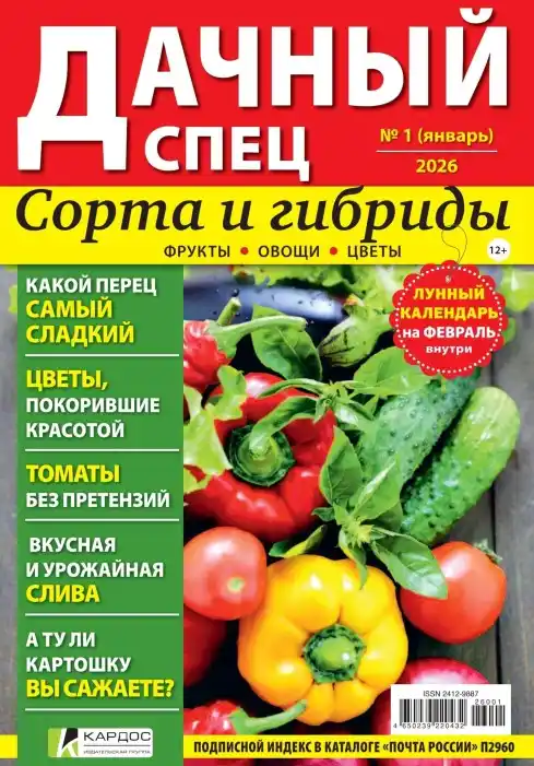 Дачный спец №1 январь 2026