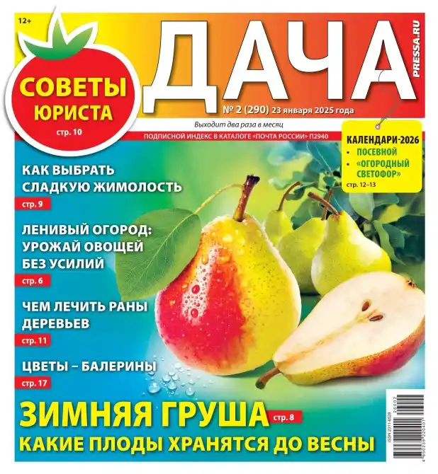 Дача №2 январь 2026