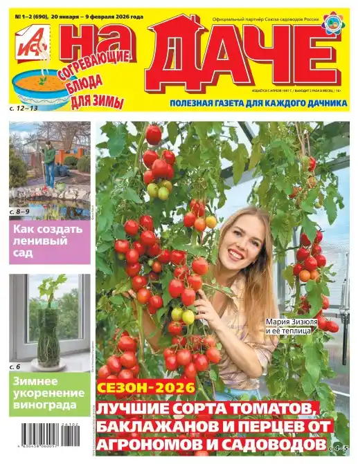 Аиф На даче №1-2 январь февраль 2026