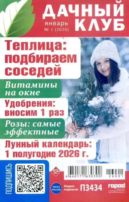 Дачный клуб №1 январь 2026