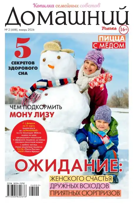 Домашний №2 январь 2026