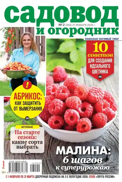 Садовод и огородник №2 январь 2026