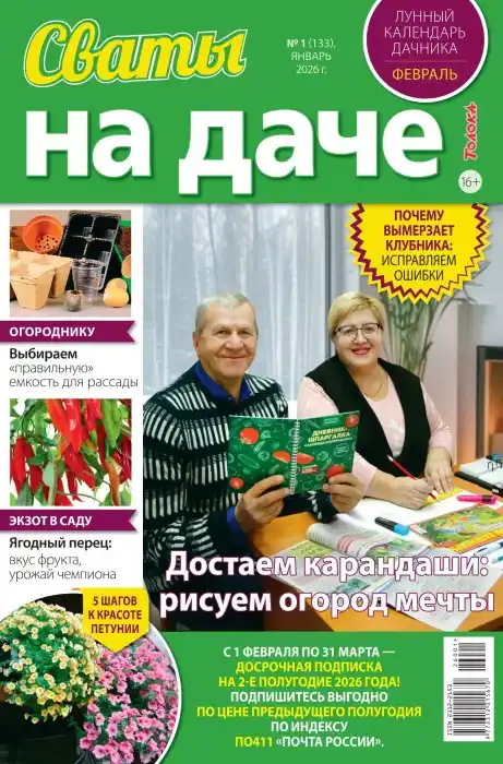 Сваты на даче №2 январь 2026