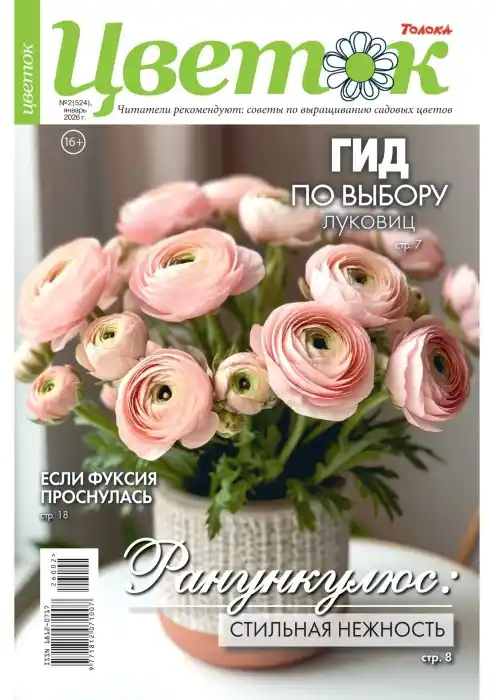Цветок №2 январь 2026