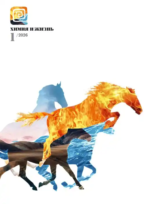 Химия и жизнь №1 январь 2026