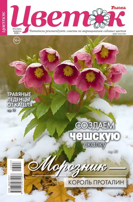 Цветок №3 февраль 2026