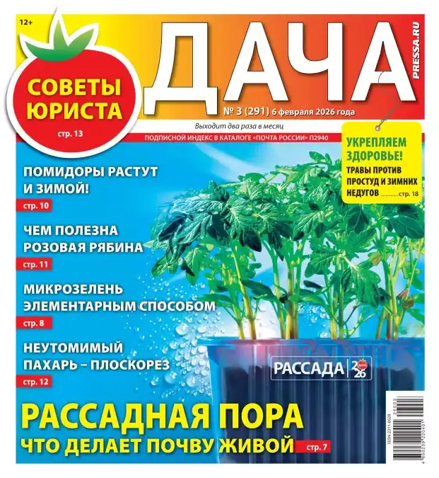 Дача №3 февраль 2026