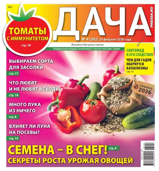 Дача №4 февраль 2026