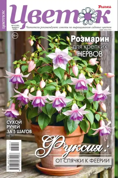 Цветок №4 февраль 2026