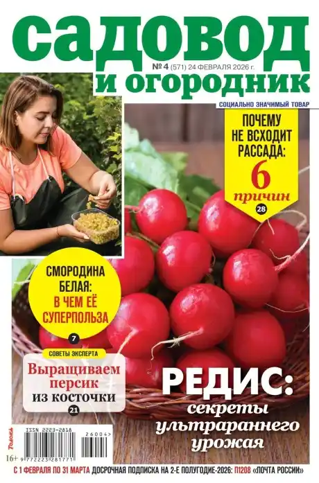 Садовод и огородник №4 февраль 2026
