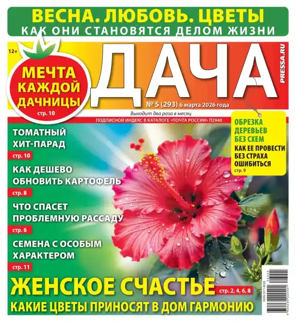 Дача №5 март 2026