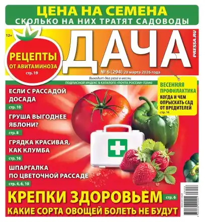 Дача №6 март 2026