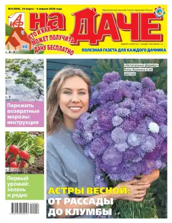 Аиф На даче №6 март апрель 2026