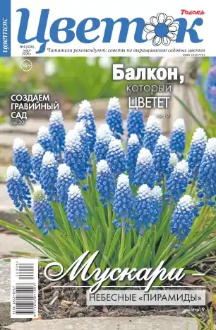 Цветок №6 март 2026