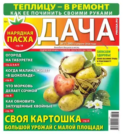 Дача №7 апрель 2026