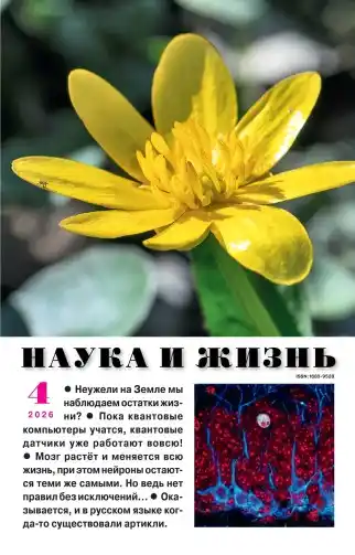 Наука и жизнь №4 апрель 2026