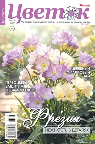 Цветок №7 апрель 2026