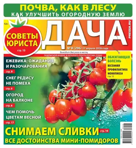 Дача №8 апрель 2026