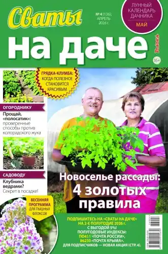 Сваты на даче №4 апрель 2026