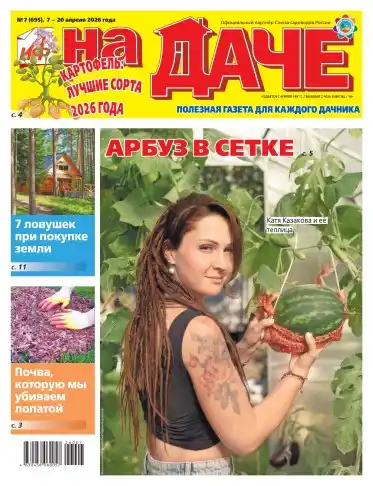 Аиф На даче №7 апрель 2026