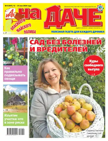 Аиф На даче №9 май 2026
