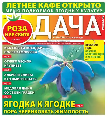 Дача №10 май 2026