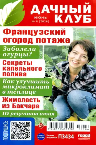 Дачный клуб №6 июнь 2026
