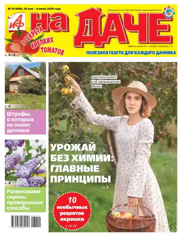 Аиф На даче №10 май июнь 2026