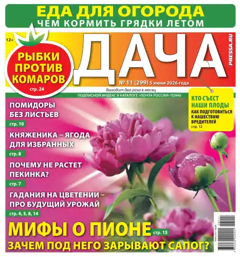 Дача №11 июнь 2026