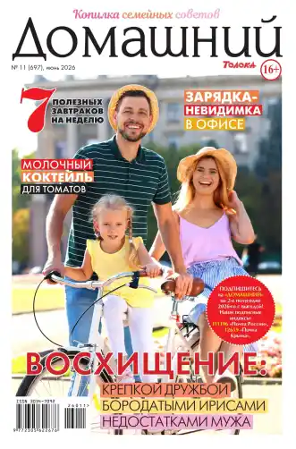 Домашний №11 июнь 2026
