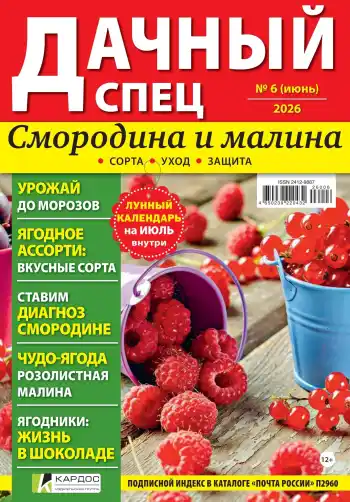 Дачный спец №6 июнь 2026
