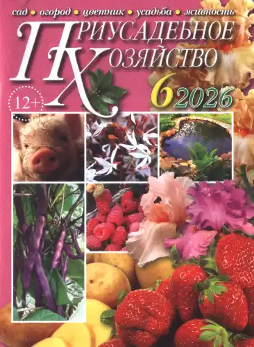 Приусадебное хозяйство №6 июнь 2026