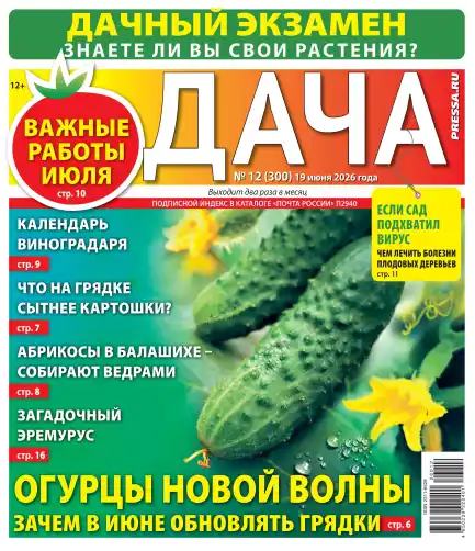 Дача №12 июнь 2026