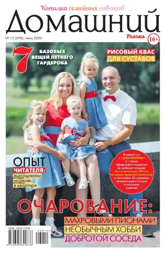 Домашний №12 июнь 2026