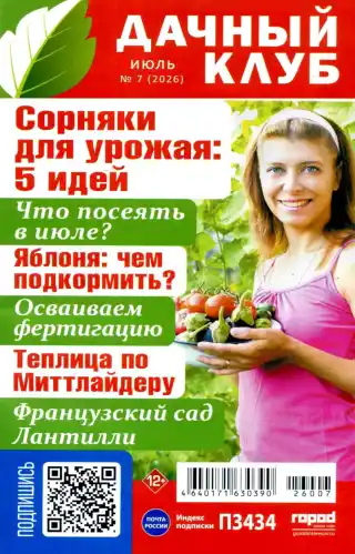 Дачный клуб №7 июль 2026