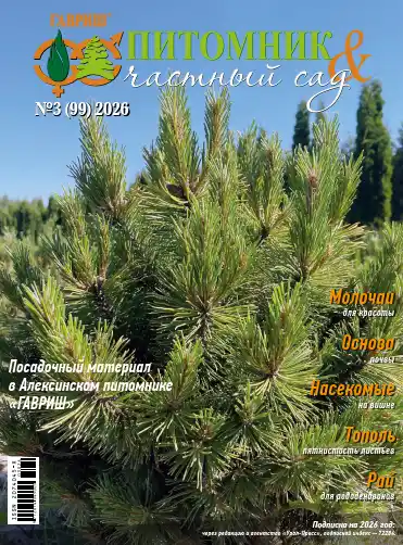 Питомник и частный сад №3 2026