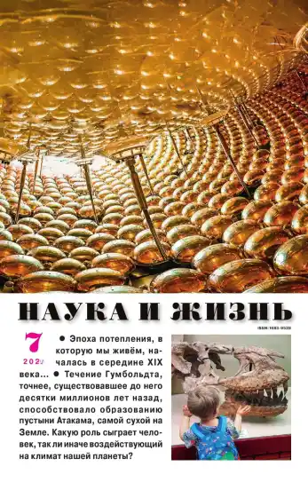 Наука и жизнь №7 июль 2026